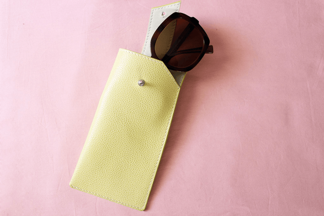 Etui à Lunettes - VertAnis