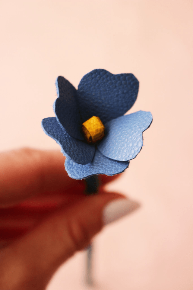 Myosotis