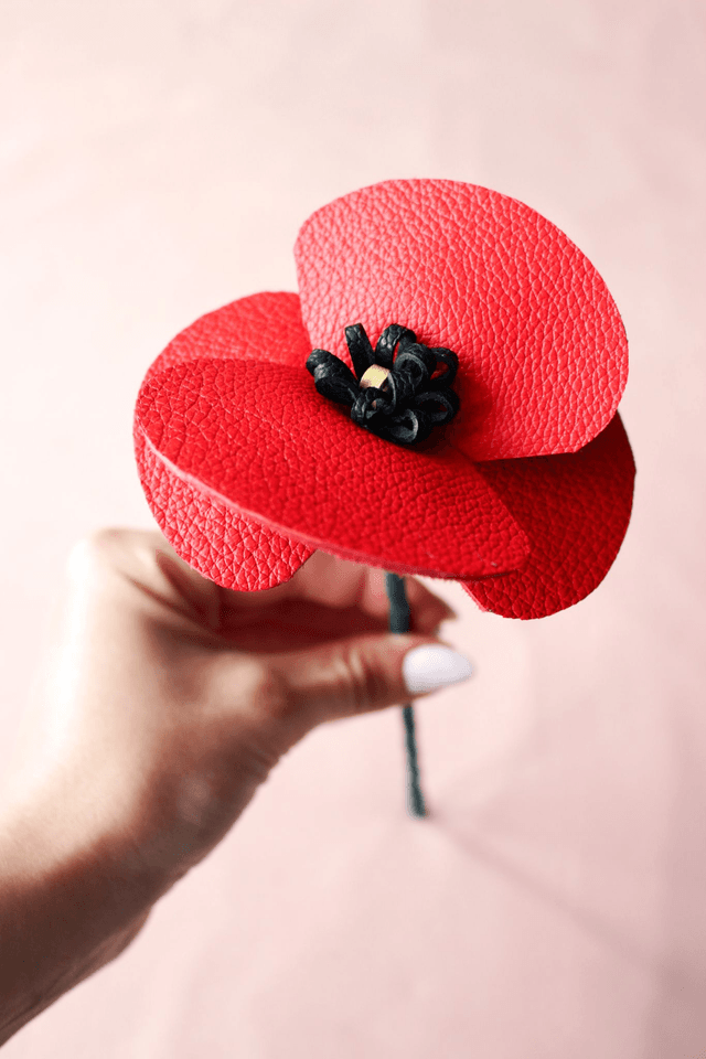 Coquelicot
