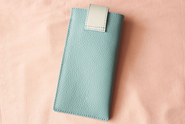 Etui à Lunettes - Ciel&Vertd'EauIrisé