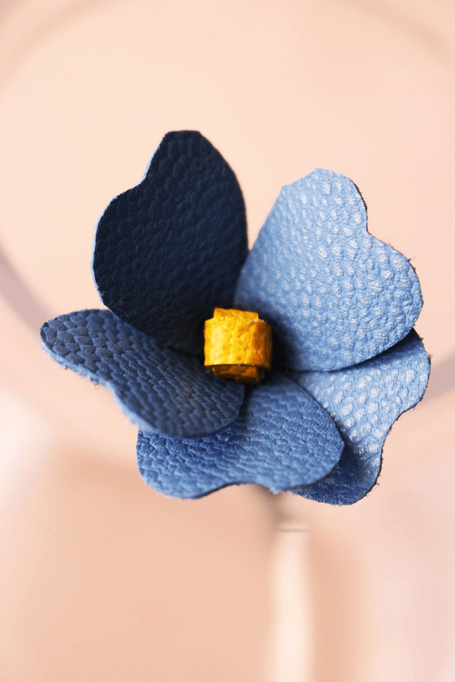 Myosotis