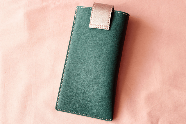 Etui à Lunettes - Vert&Champagne