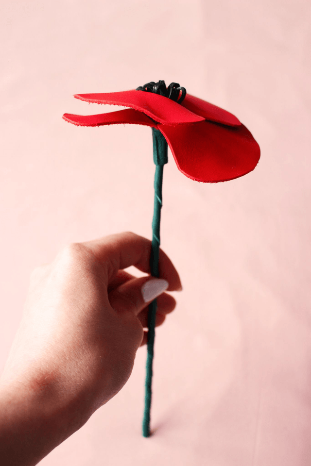 Coquelicot
