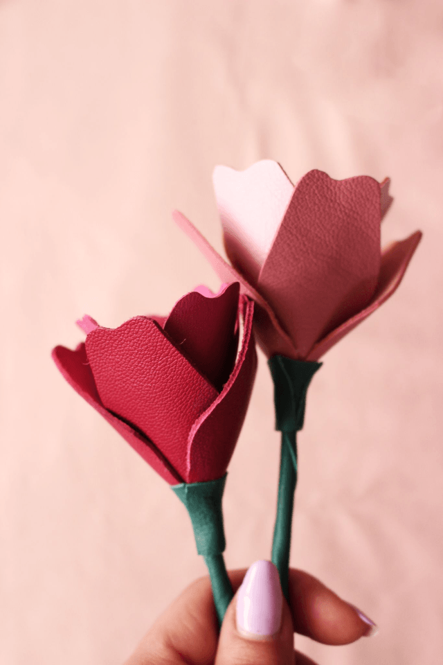 Tulipe