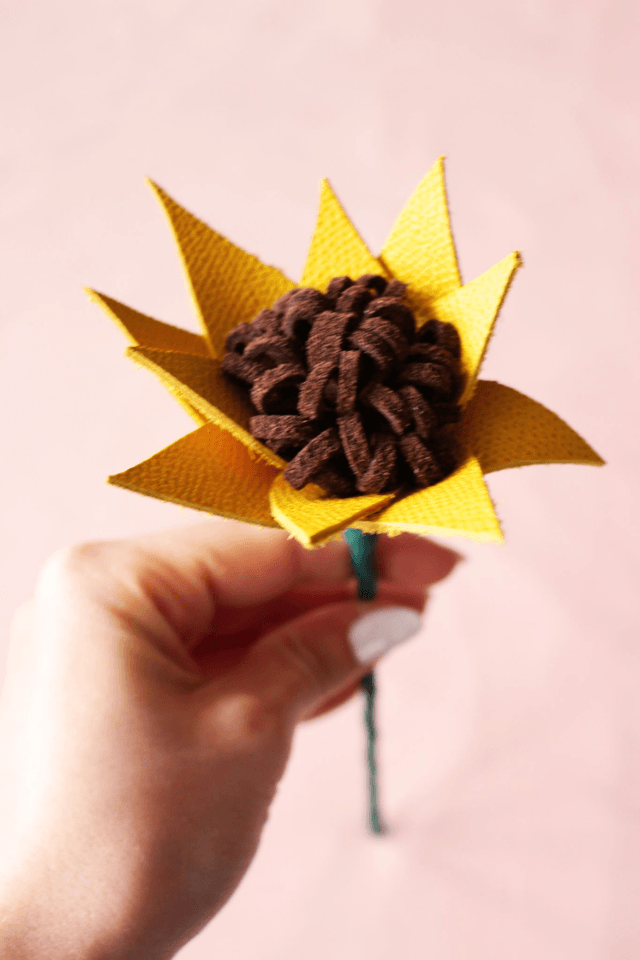 Tournesol