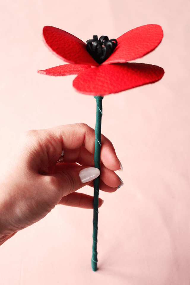 Coquelicot