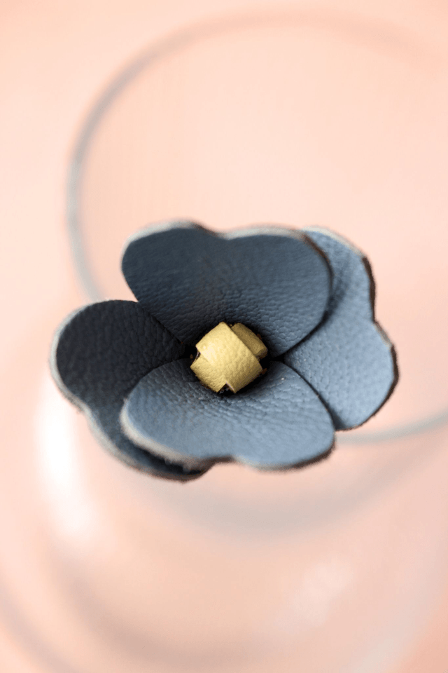 Myosotis