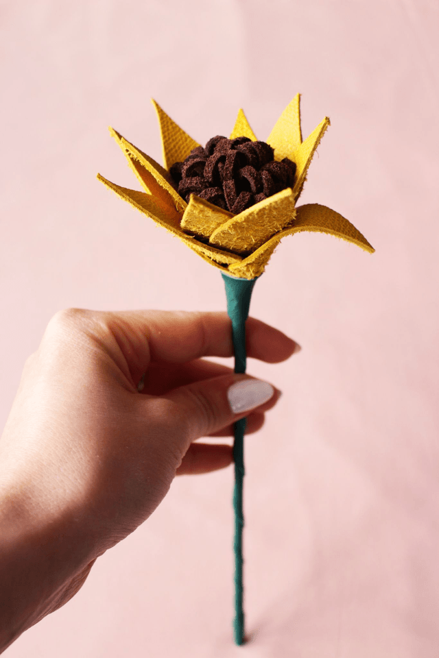 Tournesol