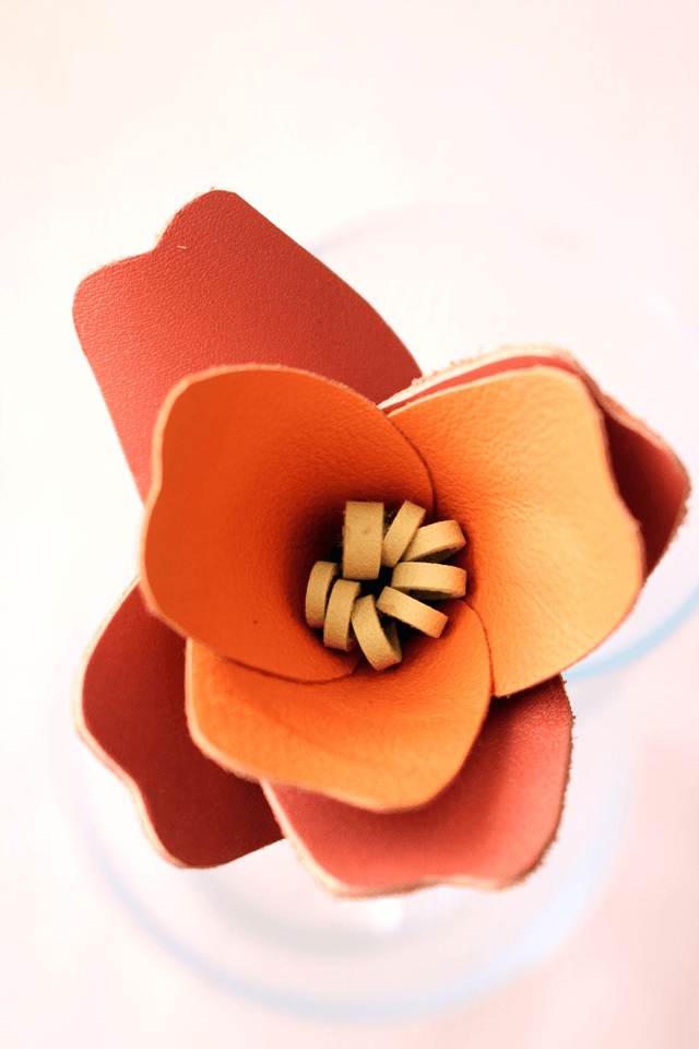 Tulipe