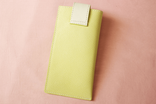 Etui à Lunettes - VertAnis