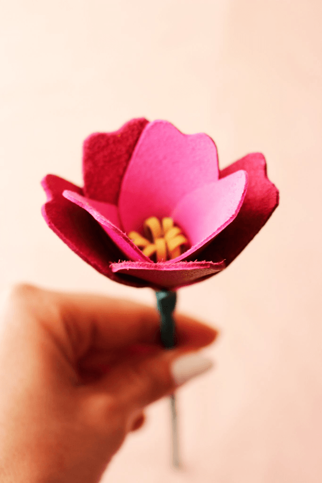 Tulipe
