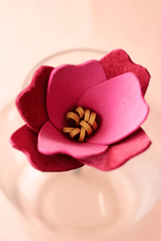 Tulipe
