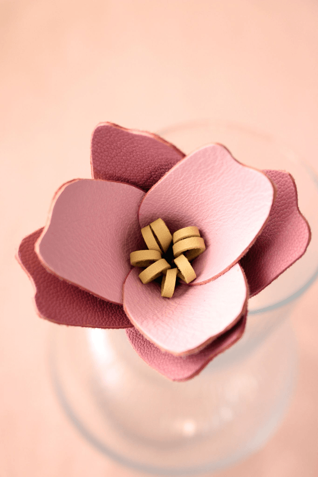 Tulipe