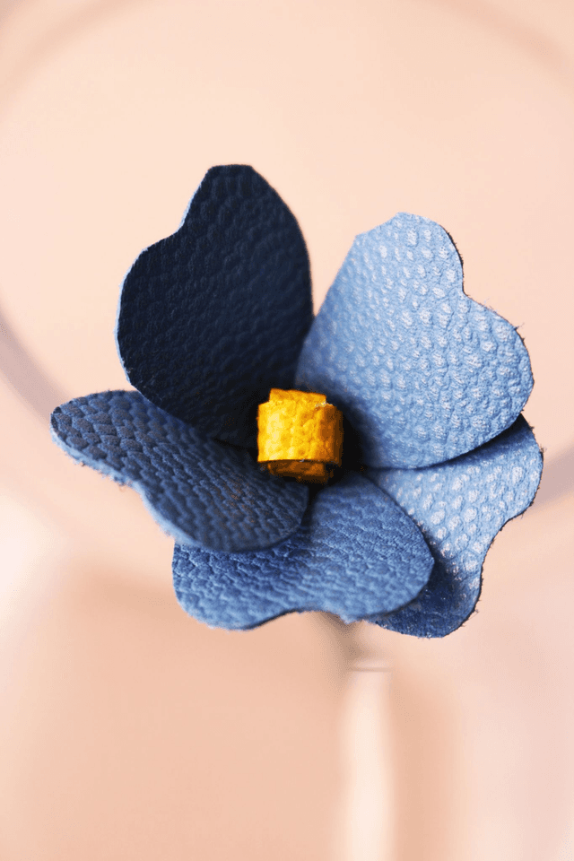 Myosotis